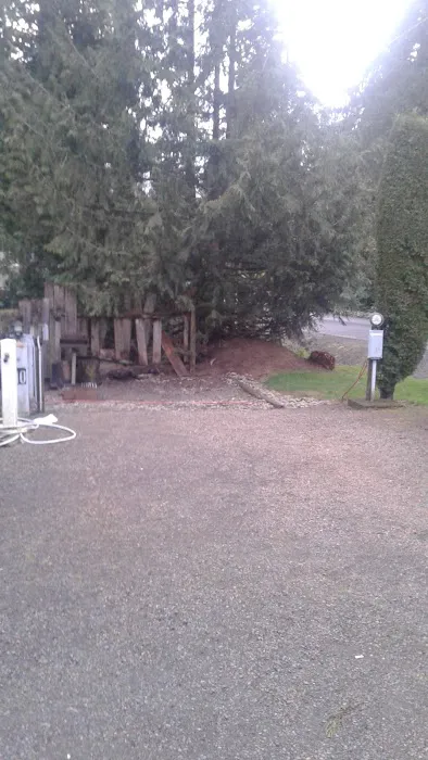 Cedar's RV Park Picture 3