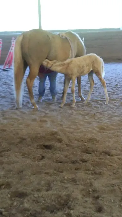 Cedar's RV Park Picture 6