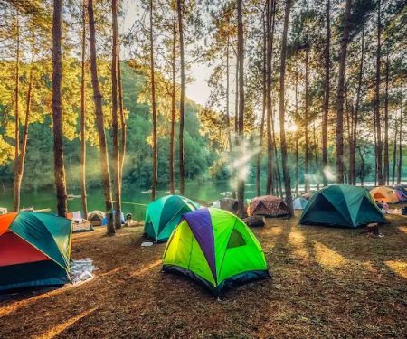 Paradise Cove Resort & RV Park