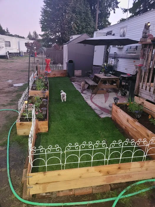 Paradise Cove Resort & RV Park Picture 3