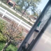 Evergreen Mobile Home Park ico