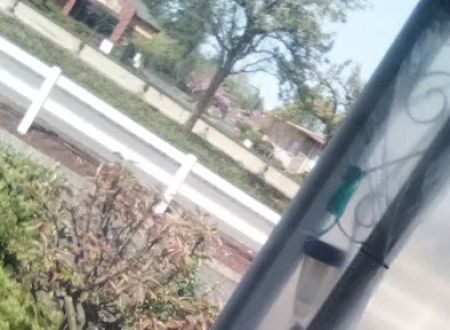 Evergreen Mobile Home Park