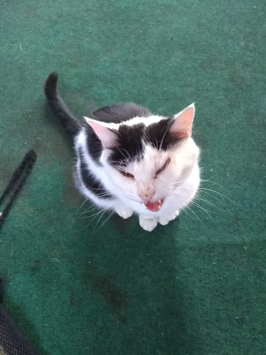 Squires Estates Picture 1