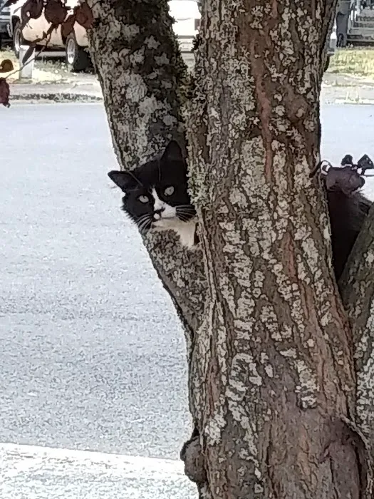 Squires Estates Picture 6