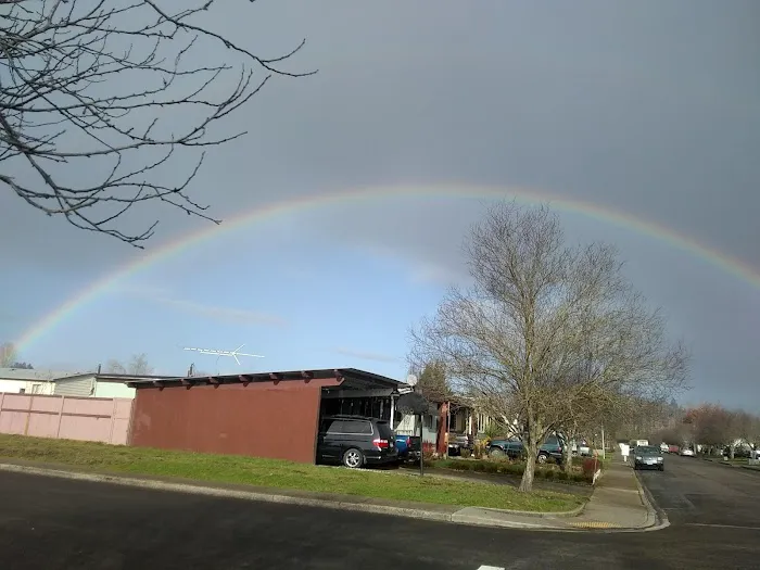 Squires Estates Picture 5