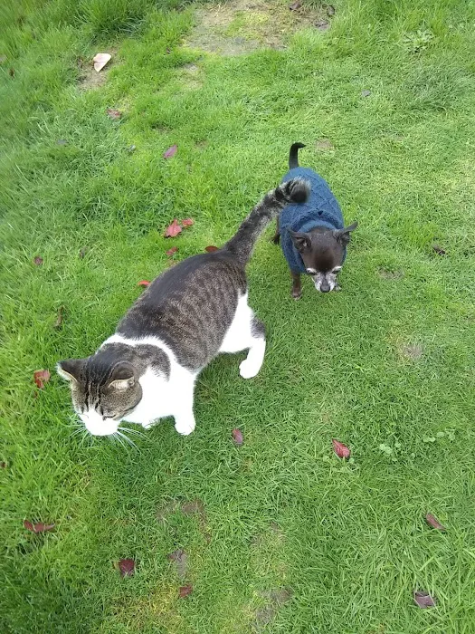 Squires Estates Picture 7