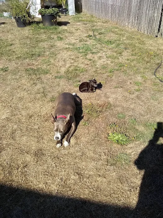 Squires Estates Picture 8