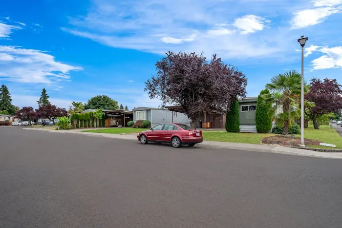 Squires West Picture 6