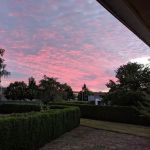 Homestead Community Inc