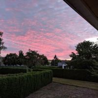 Homestead Community Inc ico