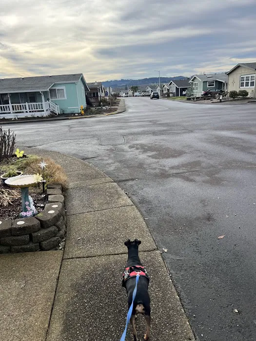 Homestead Community Inc Picture 6