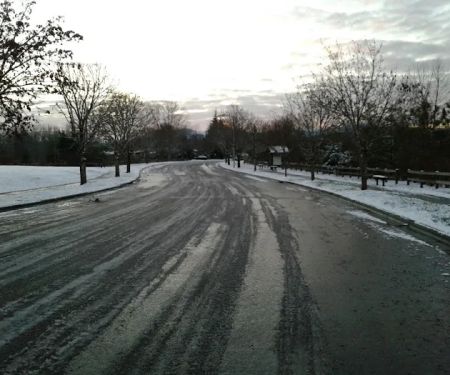 Quail Run Mobile Estates