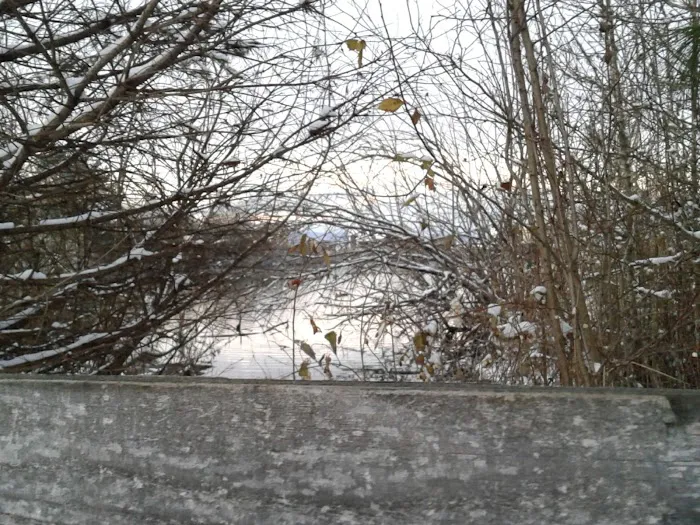 Quail Run Mobile Estates Picture 3