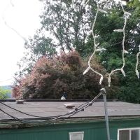 Country Mobile Estates ico