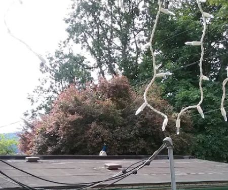 Country Mobile Estates