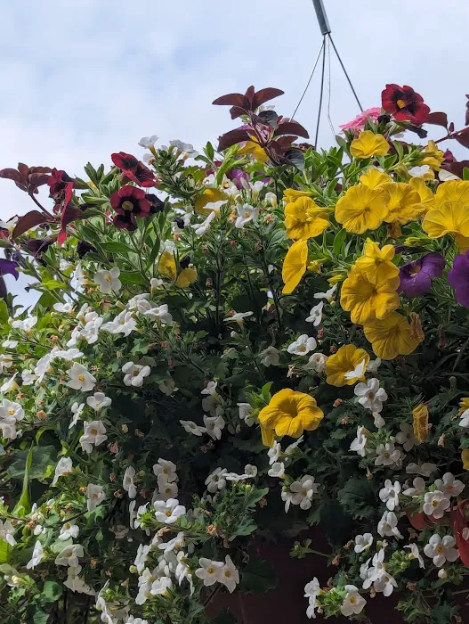 Spring Meadow Estates Picture 1