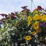 Spring Meadow Estates