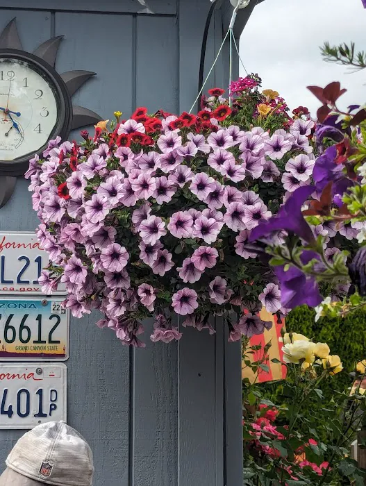 Spring Meadow Estates Picture 4