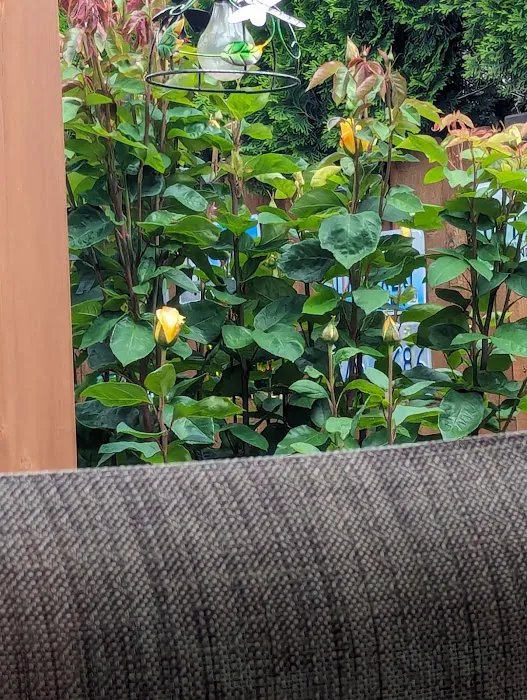 Spring Meadow Estates Picture 8