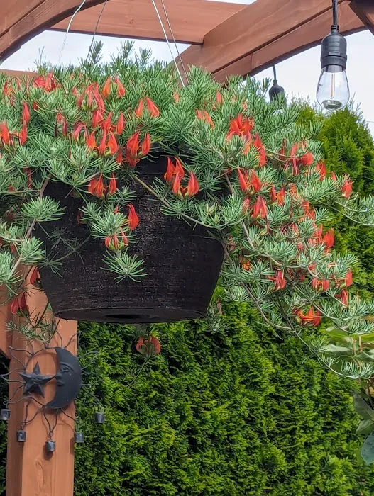 Spring Meadow Estates Picture 9