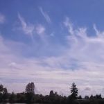 Center Street Mobile Park