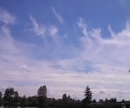 Center Street Mobile Park