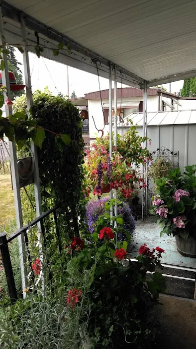 Center Street Mobile Park Picture 5