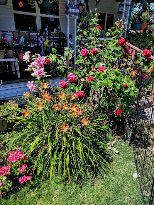 Center Street Mobile Park Picture 7