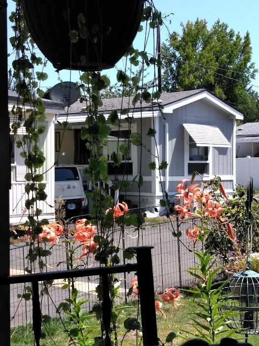 Center Street Mobile Park Picture 9