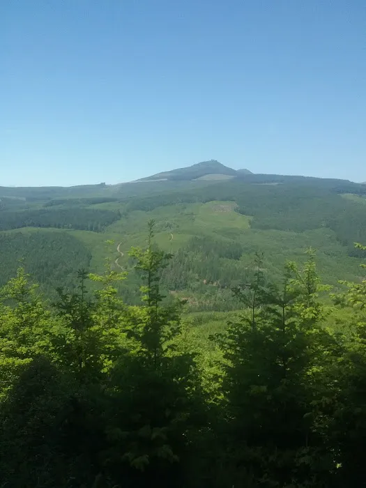 Salem Campground & RV Park Picture 5