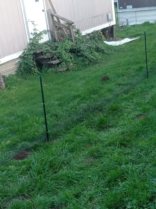 Westport Villas II MHP Picture 1