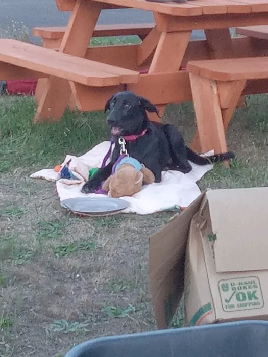 Westport Villas II MHP Picture 4