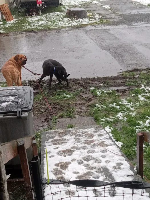 Westport Villas II MHP Picture 6