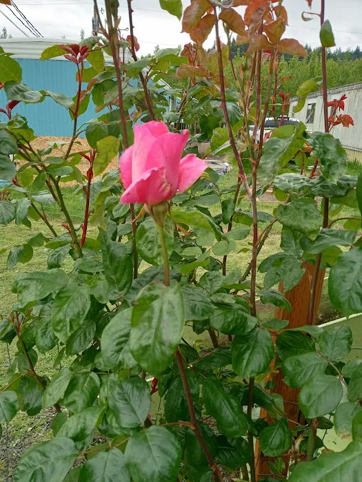 Westport Villas II MHP Picture 7