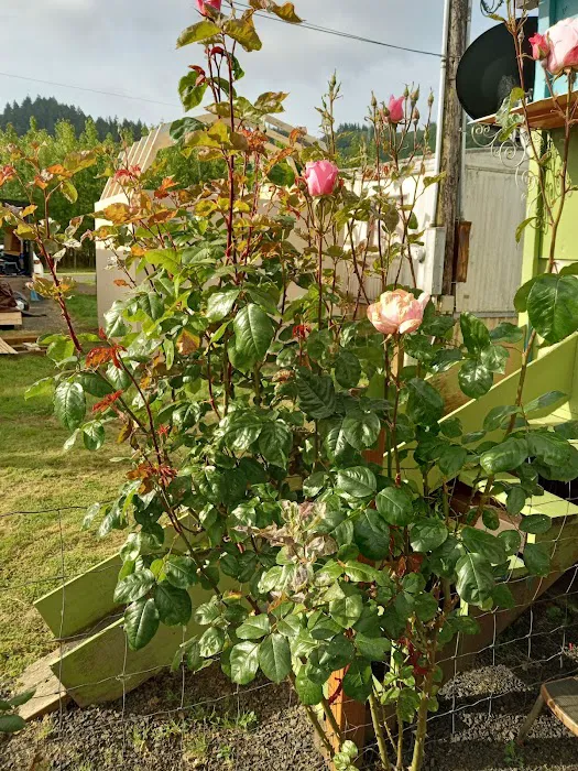 Westport Villas II MHP Picture 9