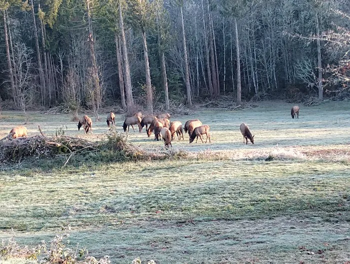 Silver Lake RV Park Inc Picture 2