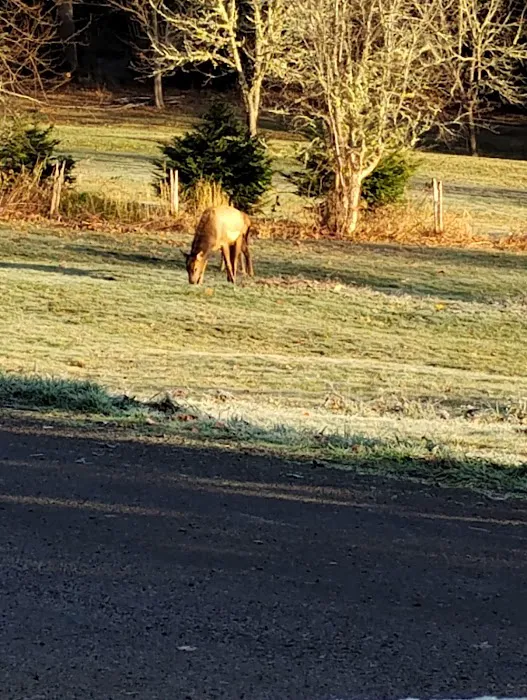 Silver Lake RV Park Inc Picture 1