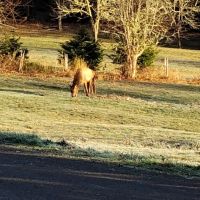 Silver Lake RV Park Inc ico