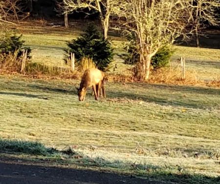 Silver Lake RV Park Inc