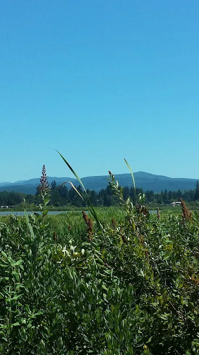 Silver Lake RV Park Inc Picture 6