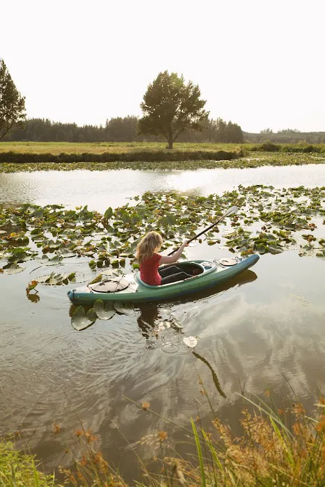 Silver Cove RV Resort Picture 4