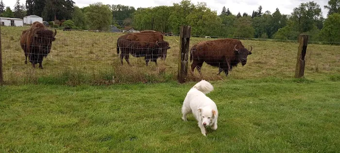 River Oaks RV Park-Campground Picture 2