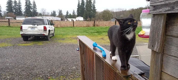 River Oaks RV Park-Campground Picture 1