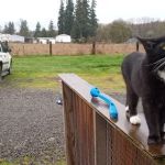 River Oaks RV Park-Campground