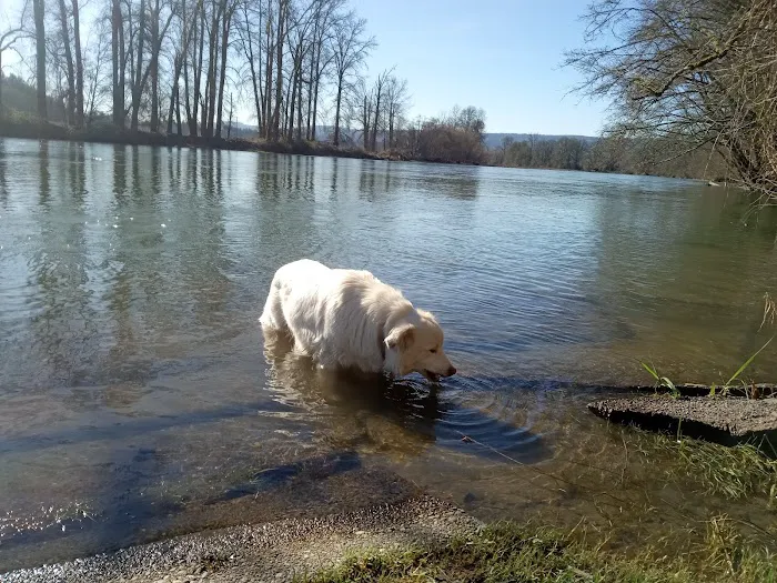 River Oaks RV Park-Campground Picture 6