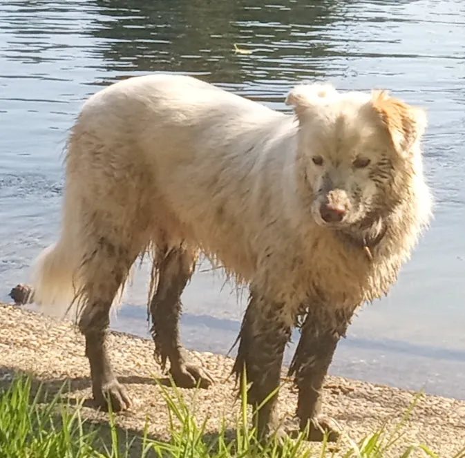 River Oaks RV Park-Campground Picture 3