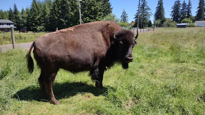 River Oaks RV Park-Campground Picture 7