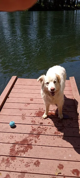 River Oaks RV Park-Campground Picture 8