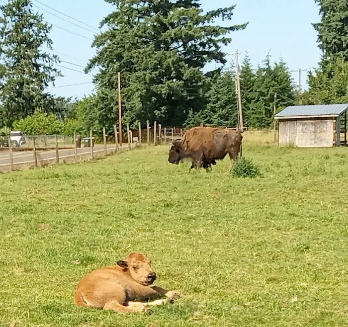 River Oaks RV Park-Campground Picture 9