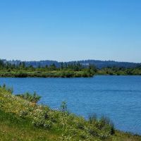 Meadowlark Estates ico